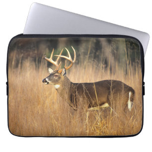 Vitstjärtad hjort   Smoky Mountains Tennessee Laptop Fodral