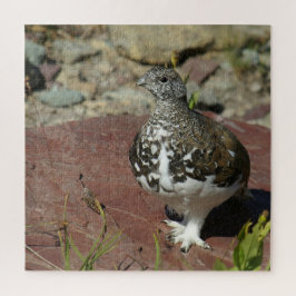 Vitstjärtad Ptarmigan - 676 biet Pussel