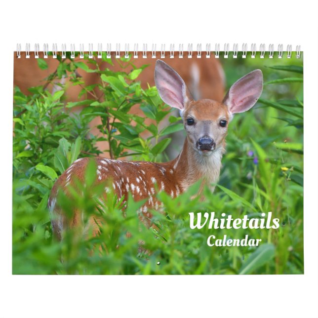 Vitstjärtshjortskalender Kalender (Omslag)