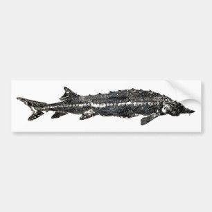 Vitstör Gyotaku-40-Item Bildekal