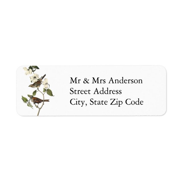 Vitstrupig Sparrow - John Audubon Returadress Etikett (Framsidan)
