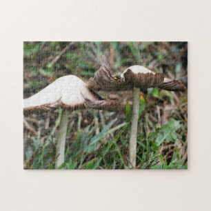 Vitsvampar Pair Nature Pussel