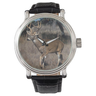 Vitsvanhjort Armbandsur