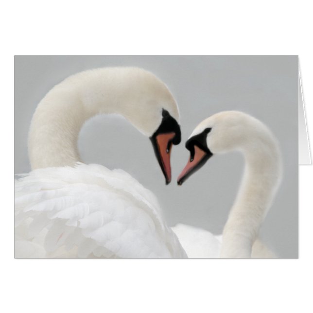 Vitsvankort Hälsningskort (Framsidan Horizontal)