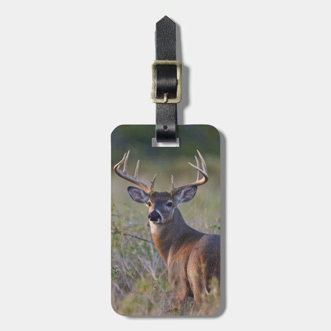 vitsvanshjort Odocoileus virginianus Bagagebricka (Vertikal Framsida)