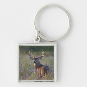 vitsvanshjort Odocoileus virginianus Fyrkantig Silverfärgad Nyckelring