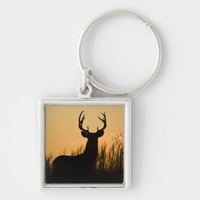 vitsvanshjort Odocoileus virginianus) Fyrkantig Silverfärgad Nyckelring (Framsidan)