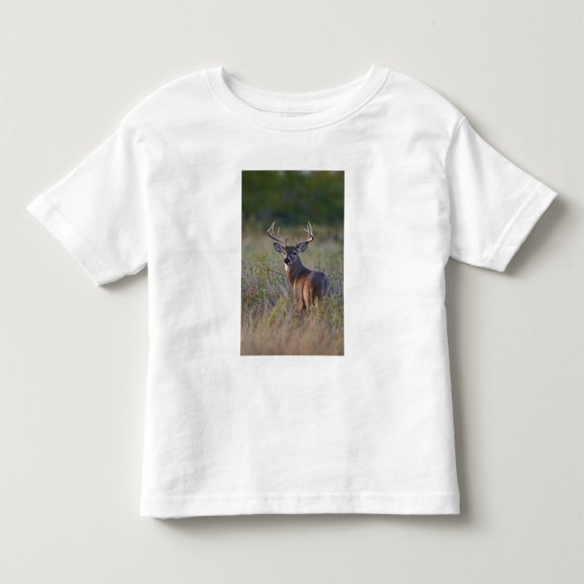 vitsvanshjort Odocoileus virginianus Tee (Framsida)