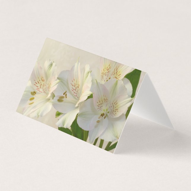 Vitt Alstomeria Flowers-kort Kort (Framsida)
