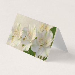 Vitt Alstomeria Flowers-kort Kort