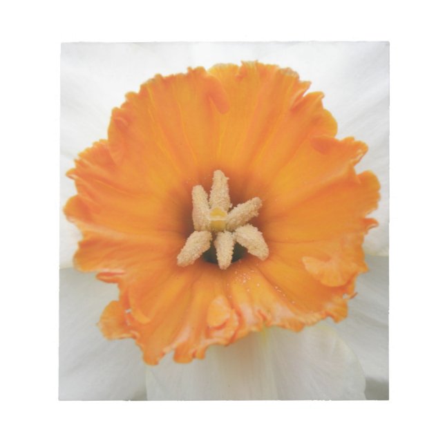 Vitt Anteckningsblock Daffodil (Framsida)