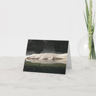 Vitt anteckningskort för Alligator