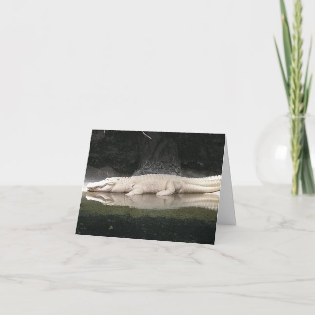 Vitt anteckningskort för Alligator (Framsida)