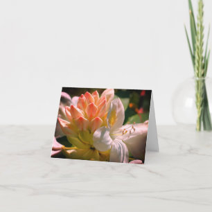 Vitt azalea Flower Anpassade Note Card Tack Kort