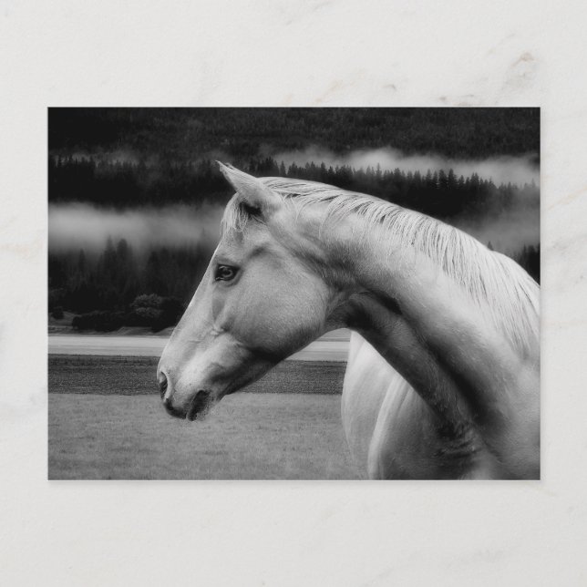 Vitt Beaside-vykort Vykort (Framsida)