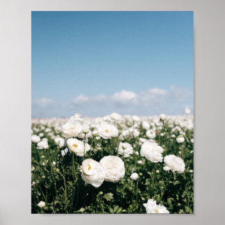 Vitt blomfält - posterskrivning poster