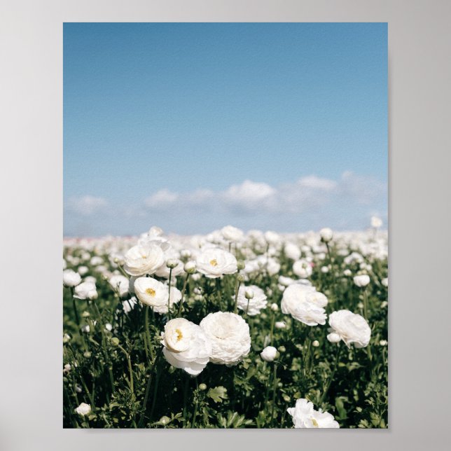 Vitt blomfält - posterskrivning poster (Framsidan)