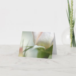 Vitt blomstrande, mappat gratulationskort kort