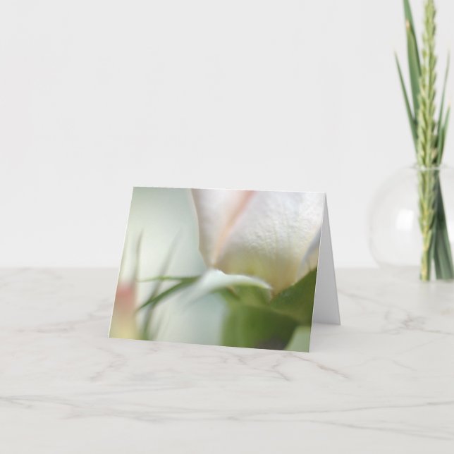 Vitt blomstrande, mappat gratulationskort kort (Framsida)