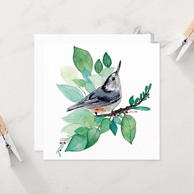 Vitt bröstat natch-fågelkort kort (White Breasted Nuthatch Bird Card from Jenn's Emporium. )