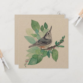 Vitt bröstat natch-fågelkort kort