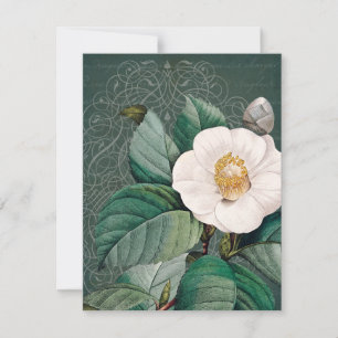Vitt Camellia - platta hälsningskort