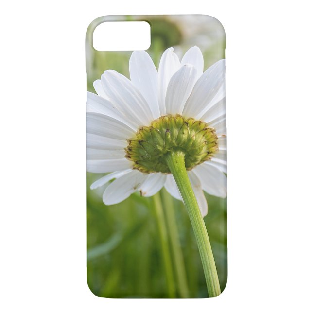 vitt daisy, makro Case-Mate iPhone skal (Baksida)