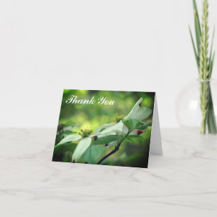 Vitt Dogwood Flower Pair-tackkort Tack Kort