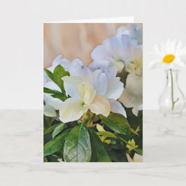 Vitt Gardenia Flowers Art Note Card Kort