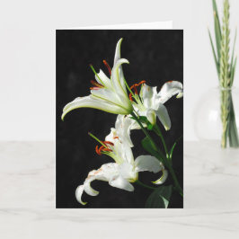 Vitt hälsningskort för Lilies Kort