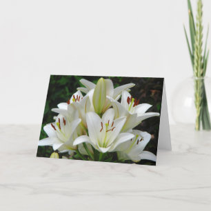 Vitt hälsningskort för Lilies Kort