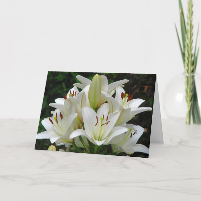 Vitt hälsningskort för Lilies Kort (Framsida)