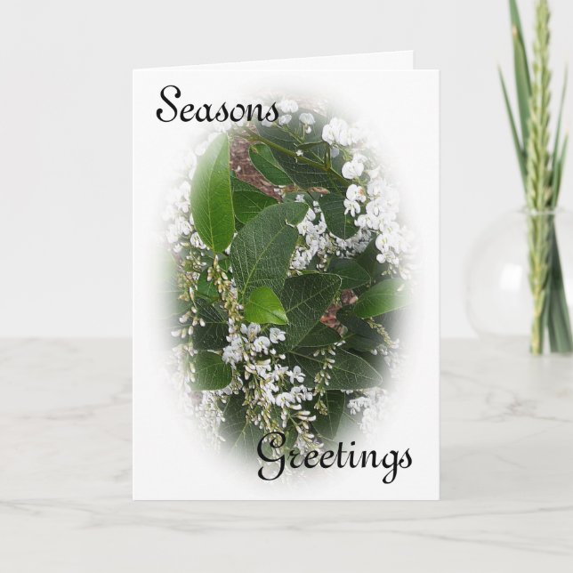 Vitt Hardenbergia-julkort Helgkort (Framsida)