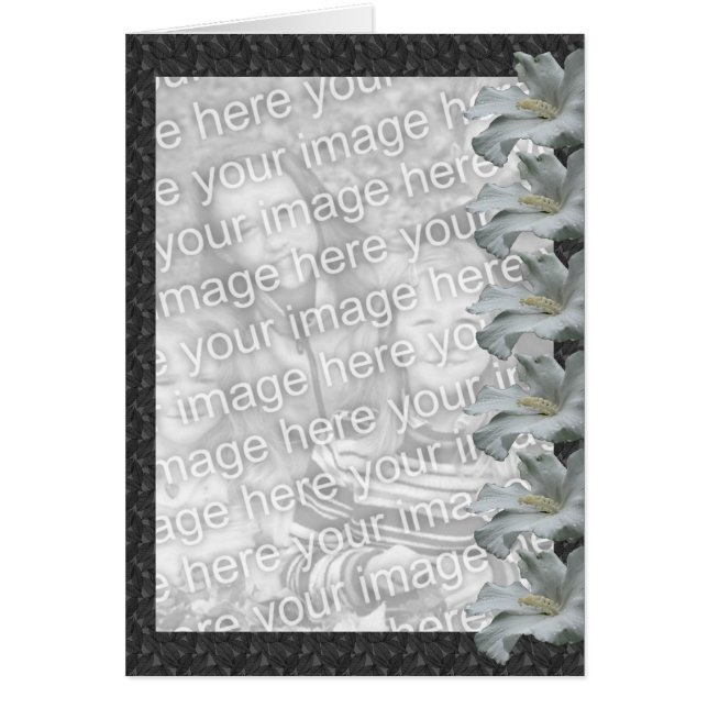 Vitt Hibiscus-fotokort för Blommigt Hälsningskort (Framsidan)