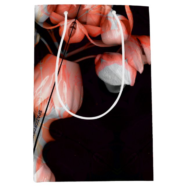 Vitt hjärta i svart från sol (Framsidan)