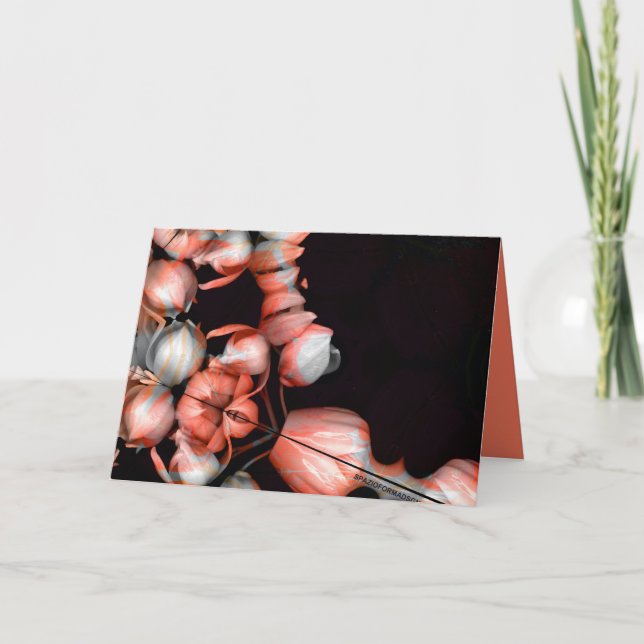 "Vitt hjärta i svart från sol" & Journey Kort (Framsida)