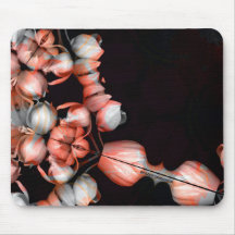 Vitt hjärta i svart från sol