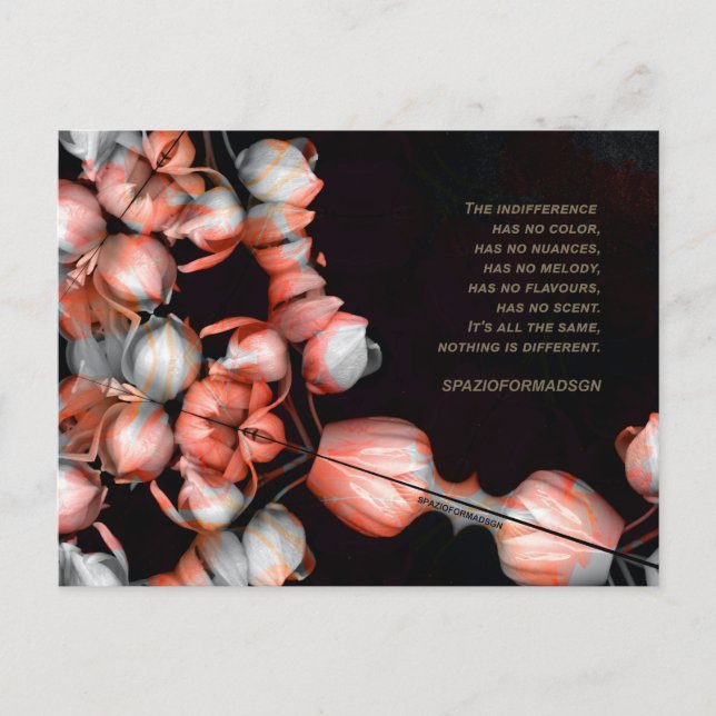 "Vitt hjärta i svart från sol" & skillnad Vykort (Framsida)