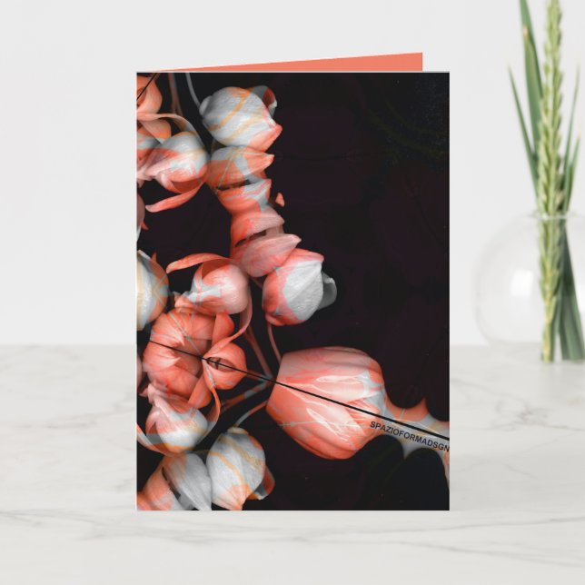 "Vitt hjärta i svart från solen" & Likgiltighet Kort (Framsida)