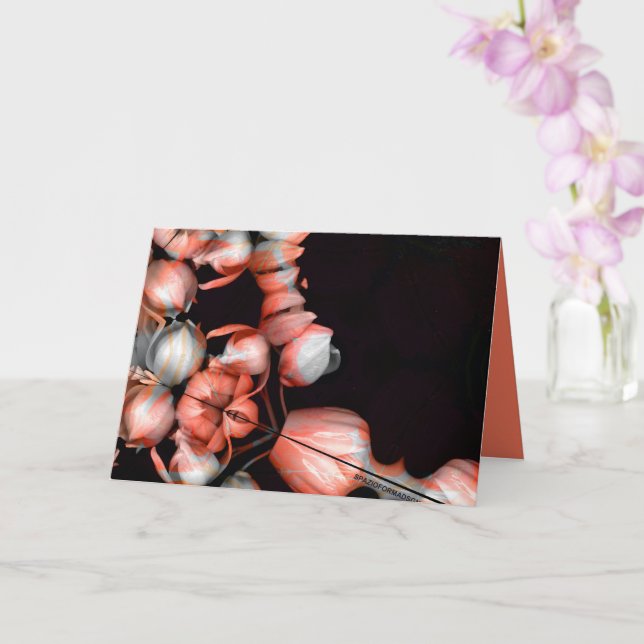 "Vitt hjärta i svart från solen" & Tystnad Kort (Orkide)