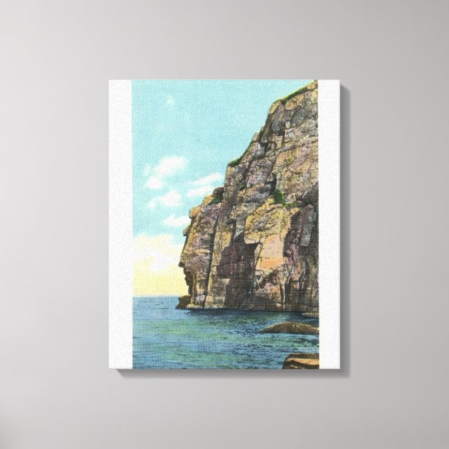 Vitt huvud i Portland Harbour Canvastryck (Framsida)