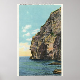Vitt huvud i Portland Harbour Poster