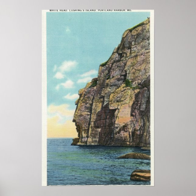 Vitt huvud i Portland Harbour Poster (Framsidan)
