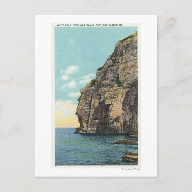 Vitt huvud i Portland Harbour Vykort (Framsida)