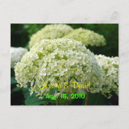 Vitt Hydrangea Spara Datum Brevkort Meddelande Vykort