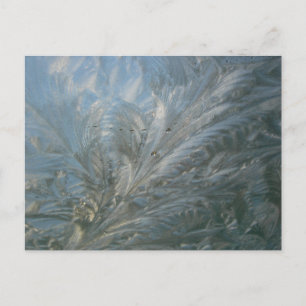 Vitt Ice Flower DIY-vykort Vykort