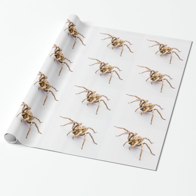 VITT INPACKNINGSPAPPER MED RADER AV SPINNAR. PRESENTPAPPER (Utrullad)