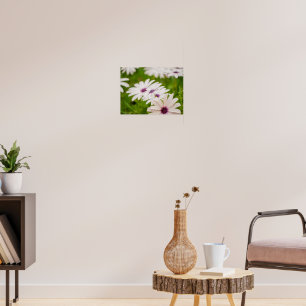Vitt kappkulla med lila ögon Trio Poster