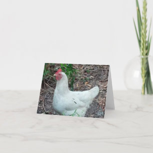 Vitt kopierat fotomappat anteckningskort