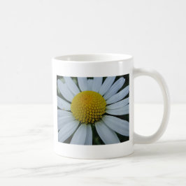Vitt krysanthemum med gult center kaffemugg